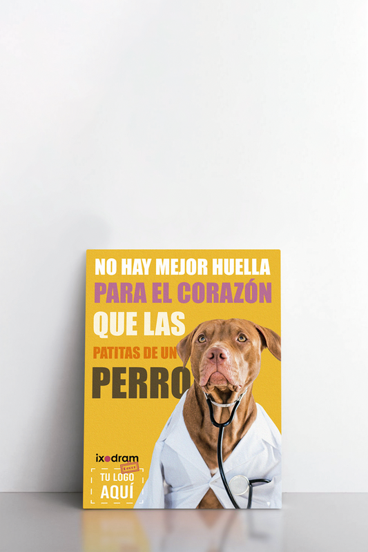 Cuadro decorativo Premium de tela Canvas Veterinario